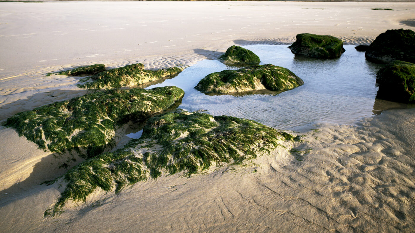 The Bay of Wissant, France