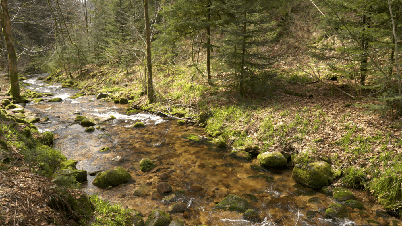 Lierbach Valley and All Saints Waterfalls, Black Forest National Park, Germany