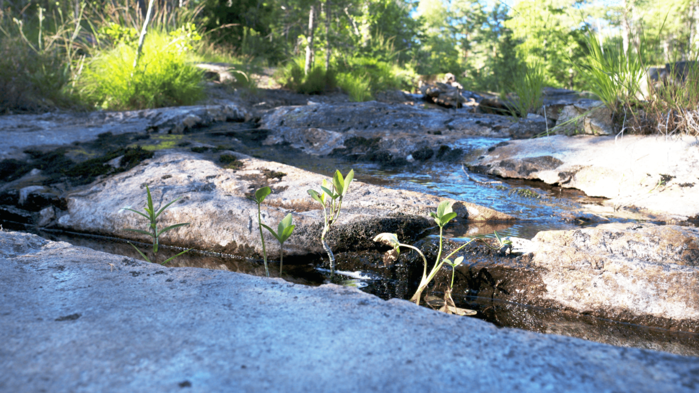 A little bit of the Elja river, Part 1, Halden, Norway