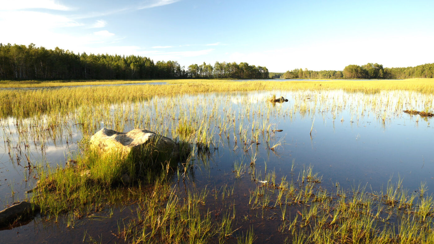 Hallerudälven River and Södra Boksjön Lake, Norway/Sweden