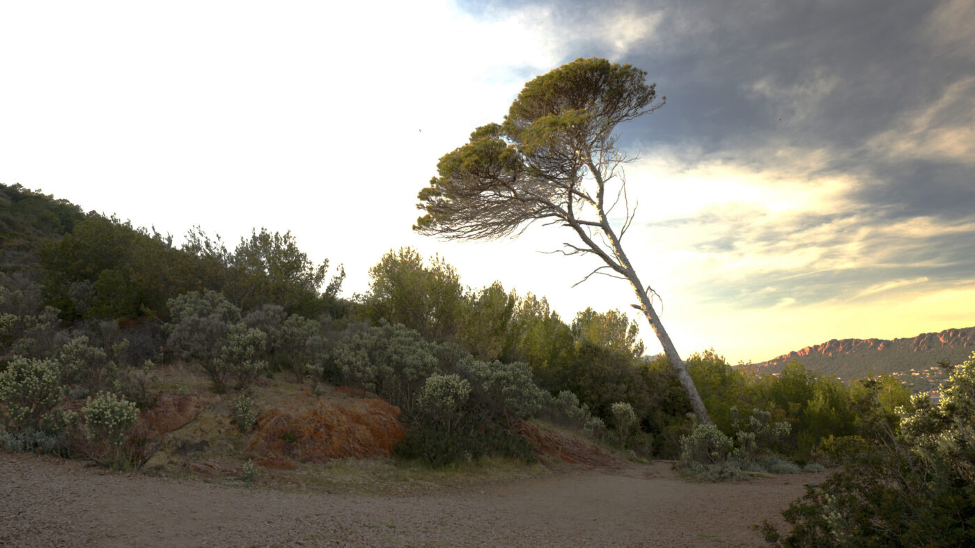 The Coast of Saint-Raphaël, France, Part 2