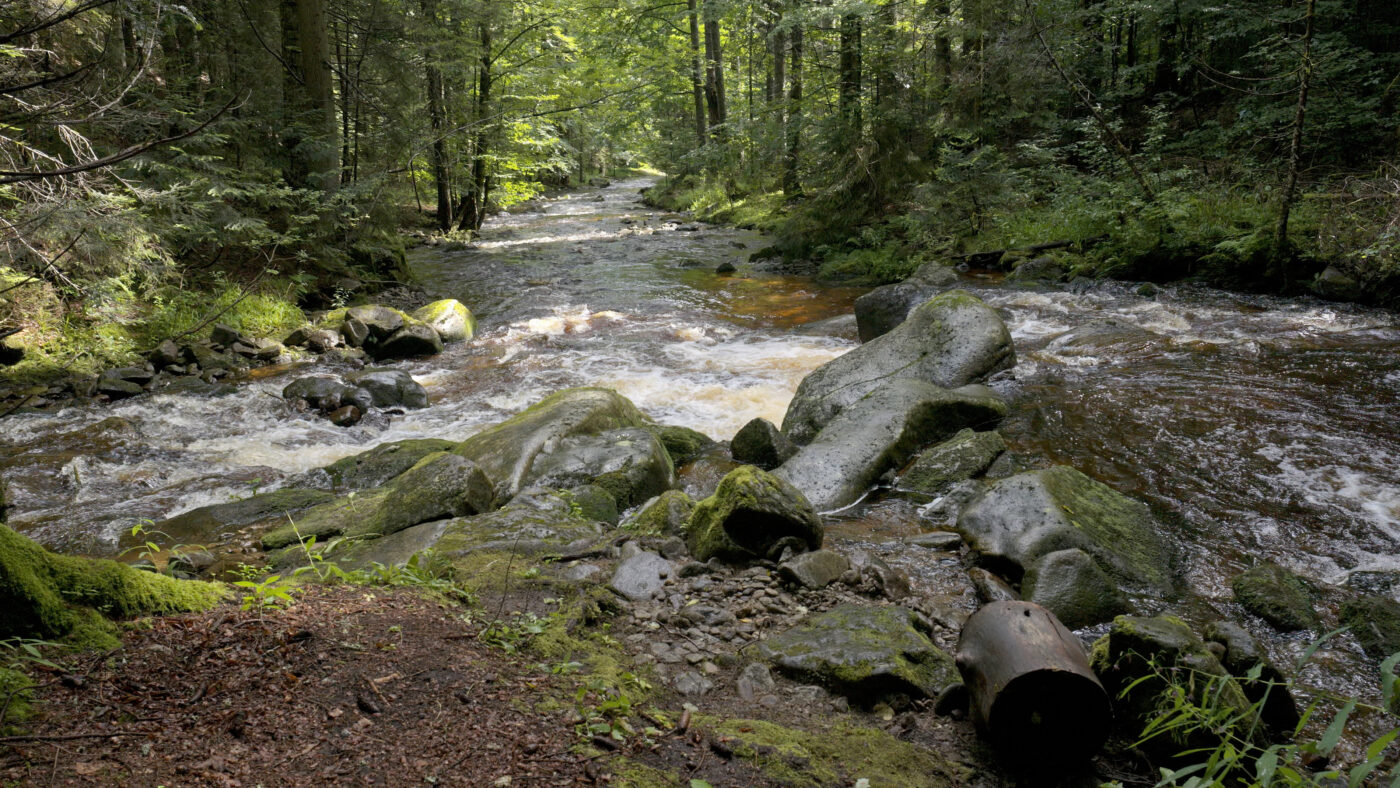 Where two rivers merge, Pri Bajgou, Slovenia